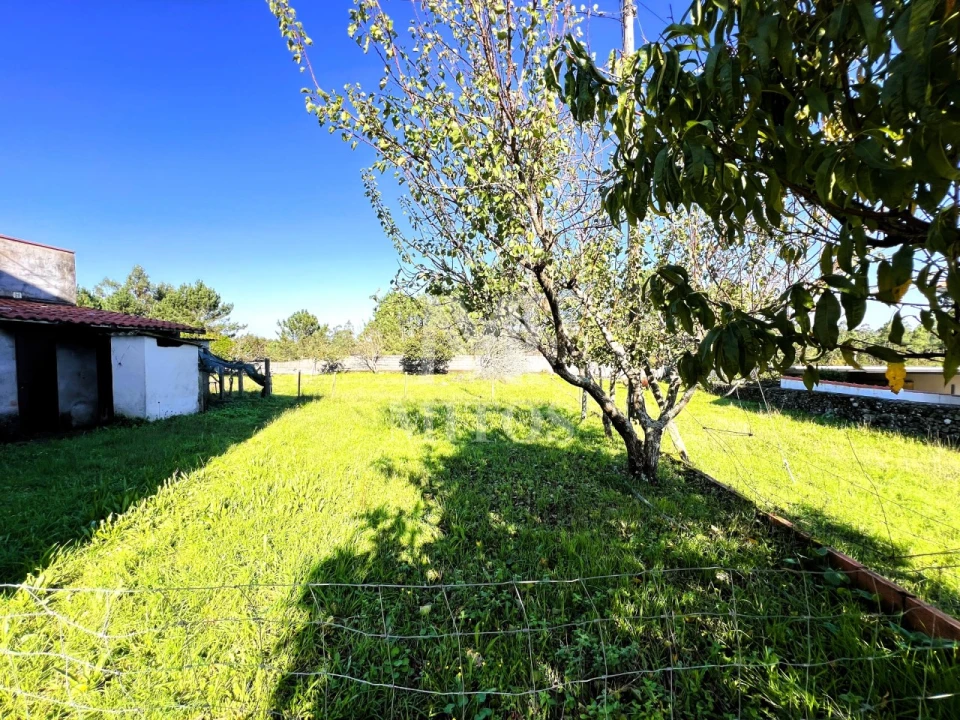 Moradia T4 para Venda em Forjães Foto 3