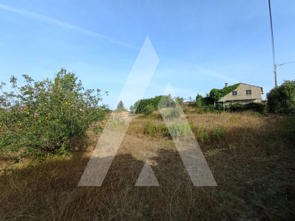 Terreno para Venda em Samuel Foto 2