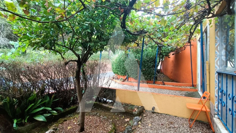 Moradia T4 para Venda em Areias e Pias Foto 7