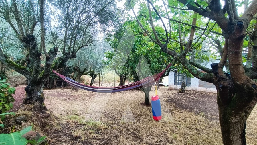 Moradia T4 para Venda em Areias e Pias Foto 23