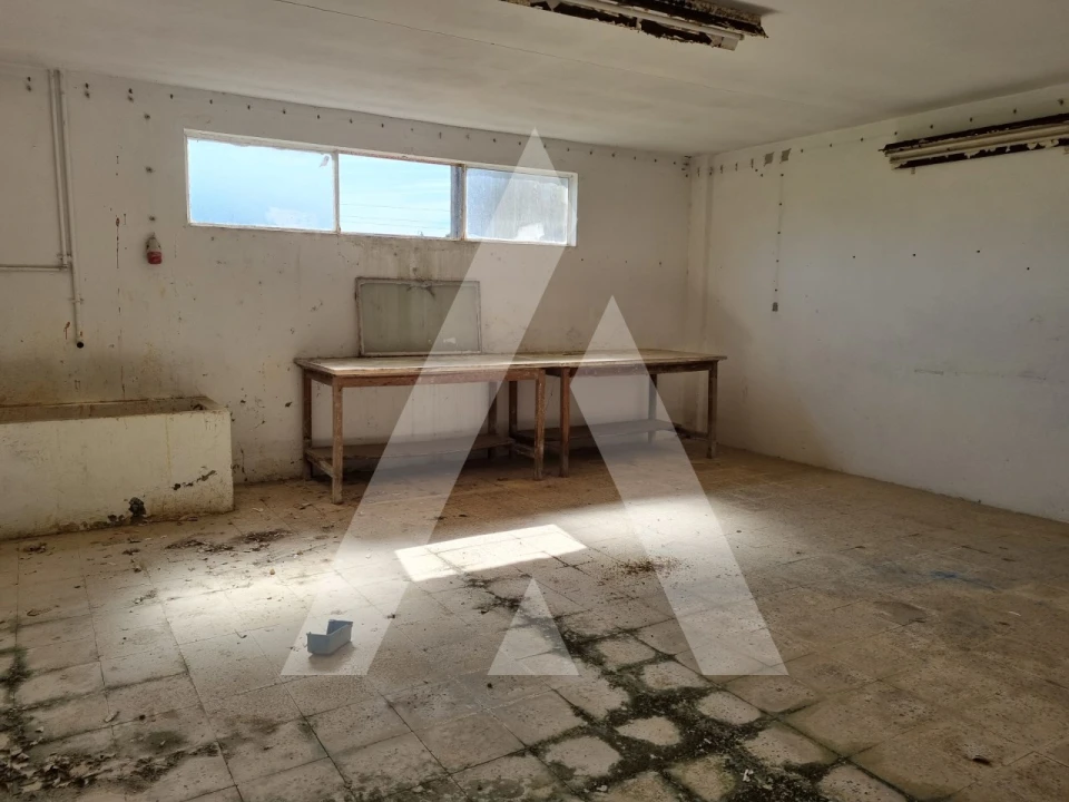 Armazém para Venda em Maceira Foto 24