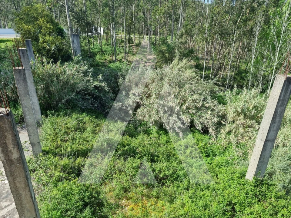 Armazém para Venda em Maceira Foto 31
