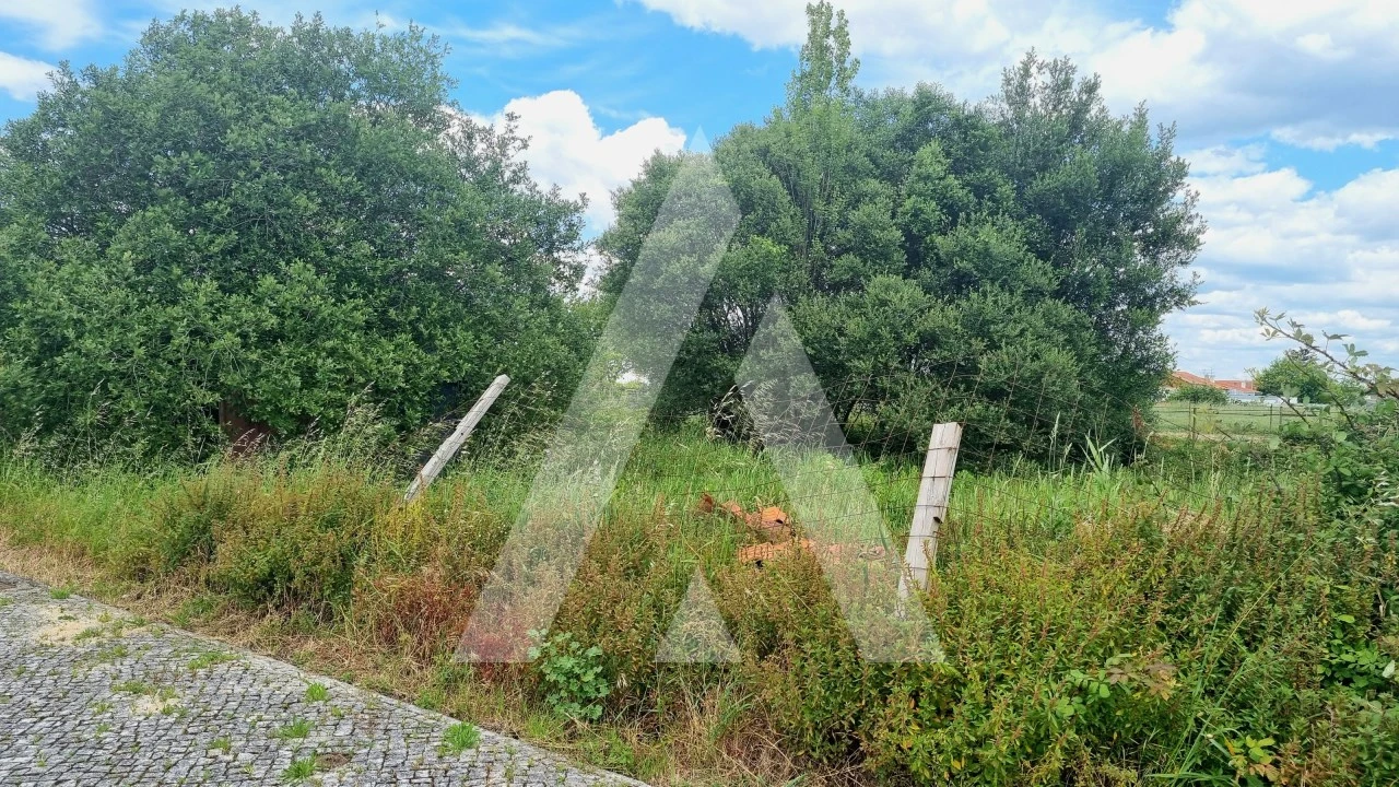 Terreno para Venda em Paião Foto 11