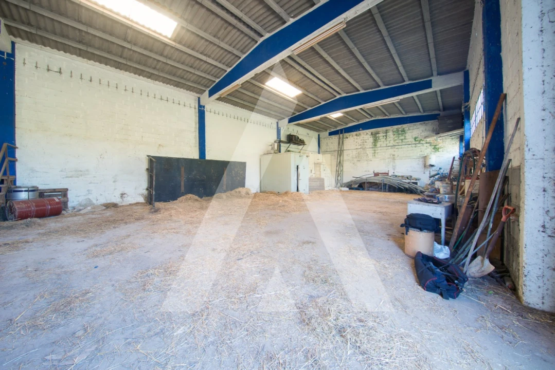 Armazém para Venda em Redinha Foto 5