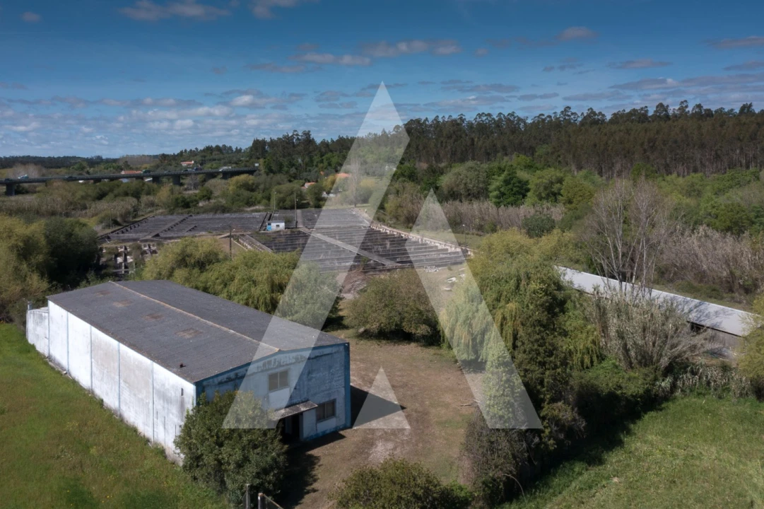 Armazém para Venda em Redinha Foto 22