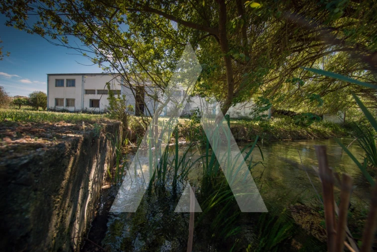 Armazém para Venda em Redinha Foto 18