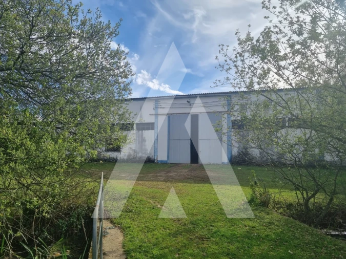 Armazém para Venda em Redinha Foto 23