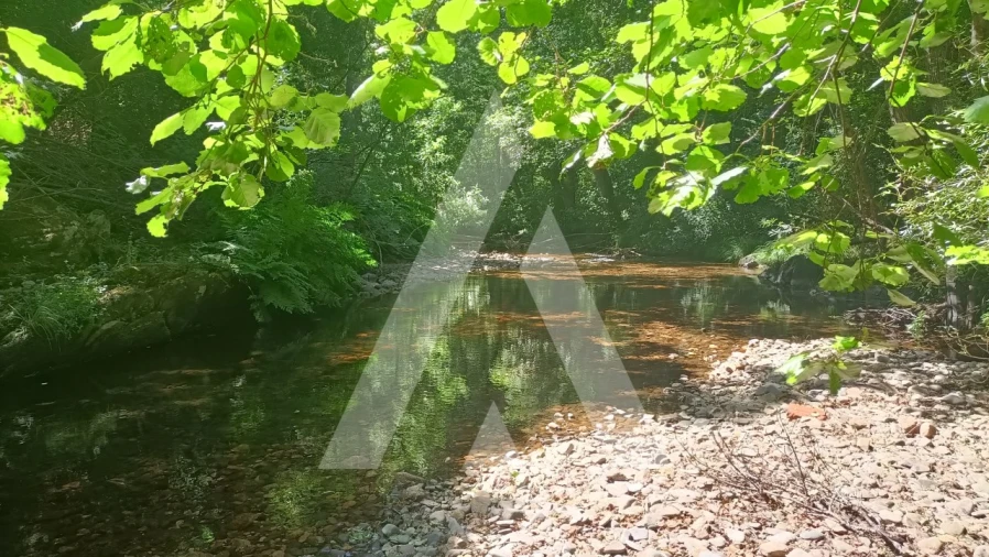 Moradia T3 para Venda em Aguda Foto 22