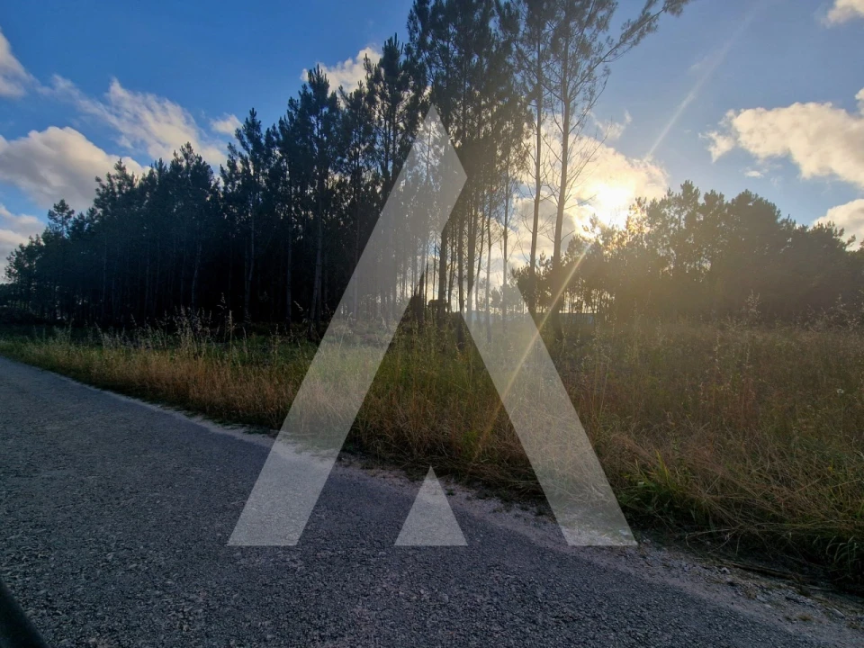 Terreno para Venda em Carnide Foto 4