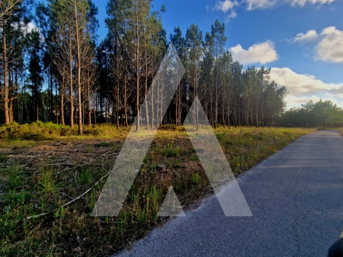 Terreno para Venda em Carnide Foto 2