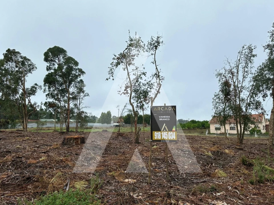 Terreno para Venda em Oiã Foto 1