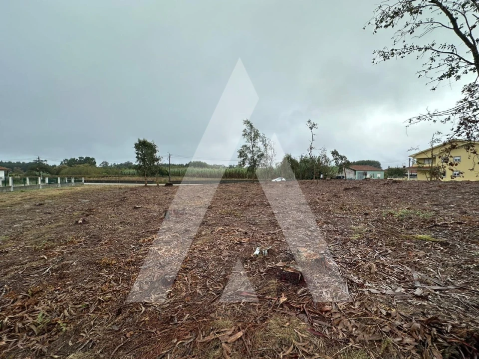 Terreno para Venda em Oiã Foto 4