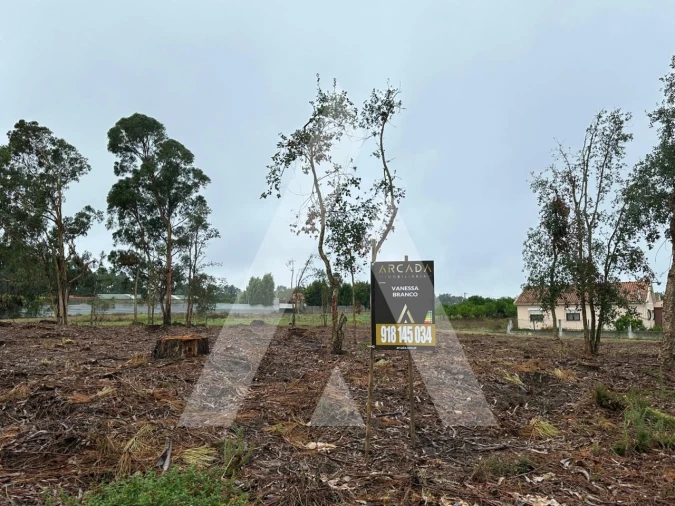 Terreno para Venda em Oiã Foto 1