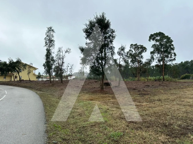 Terreno para Venda em Oiã Foto 3