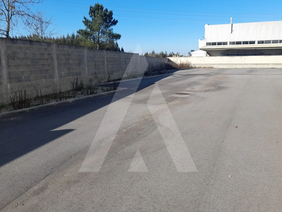 Armazém para Venda em Palhaça Foto 4