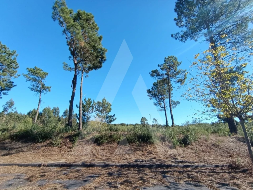 Terreno para Venda em Ílhavo (São Salvador) Foto 5