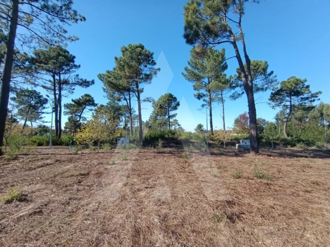 Terreno para Venda em Ílhavo (São Salvador) Foto 3