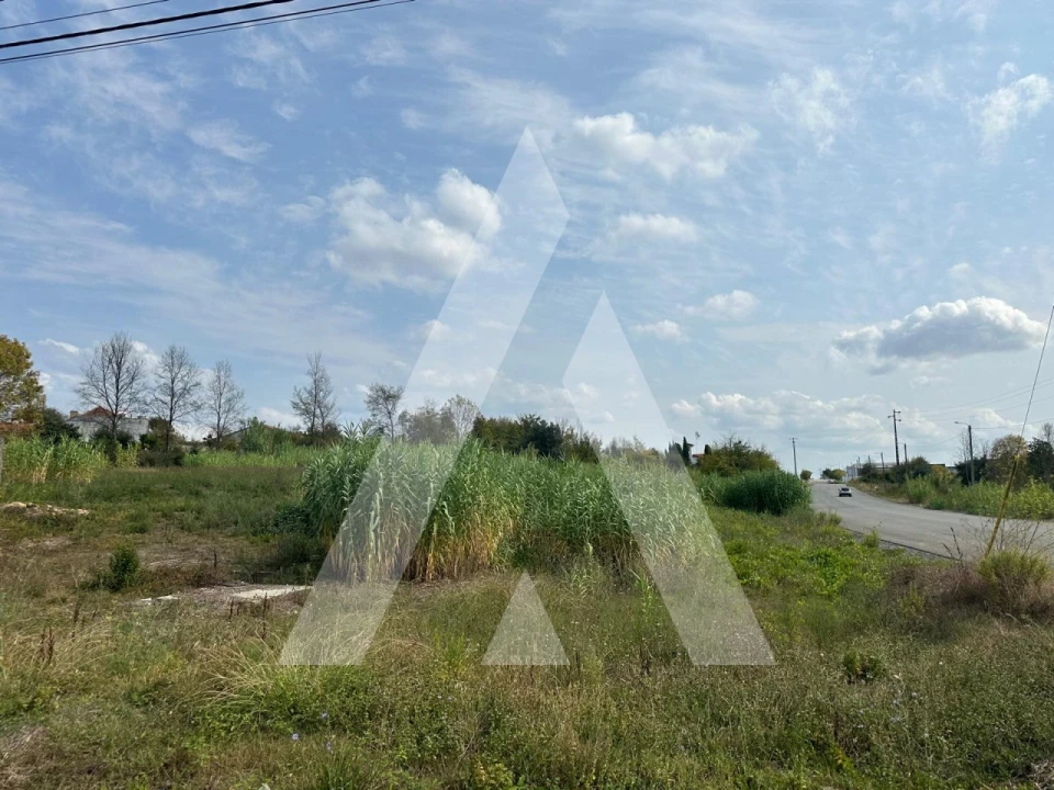 Moradia T4 para Venda em Sangalhos Foto 6