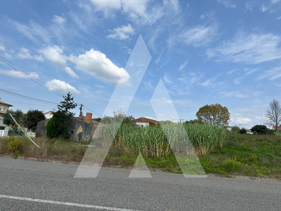 Moradia T4 para Venda em Sangalhos Foto 8