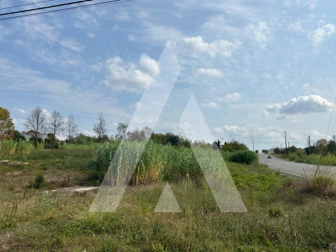 Moradia T4 para Venda em Sangalhos Foto 6