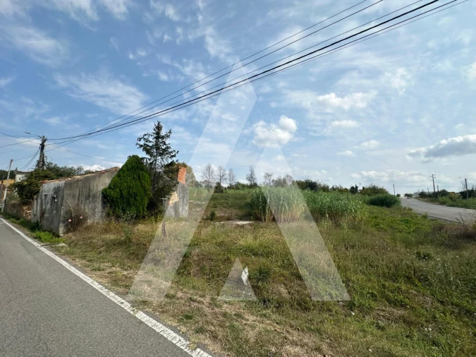 Moradia T4 para Venda em Sangalhos Foto 7