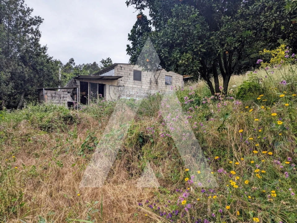 Quinta T2 para Venda em Canelas e Fermelã Foto 19