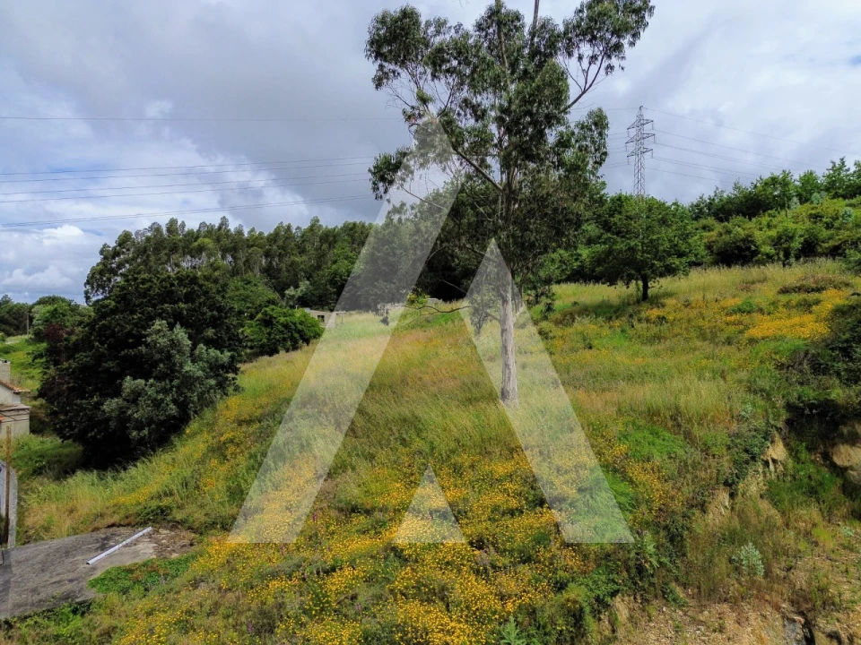 Quinta T2 para Venda em Canelas e Fermelã Foto 31