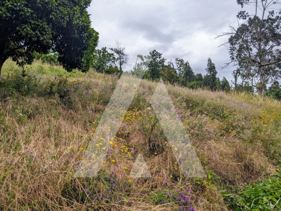 Quinta T2 para Venda em Canelas e Fermelã Foto 32