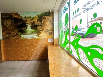 Negócio para Cedência de Quotas em Oliveira do Bairro