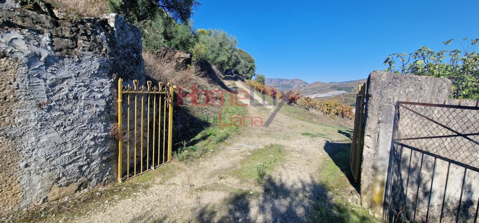 Quinta para Venda em Peso da Régua e Godim Foto 1