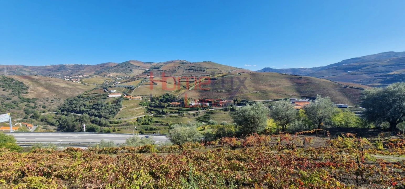 Quinta para Venda em Peso da Régua e Godim Foto 9