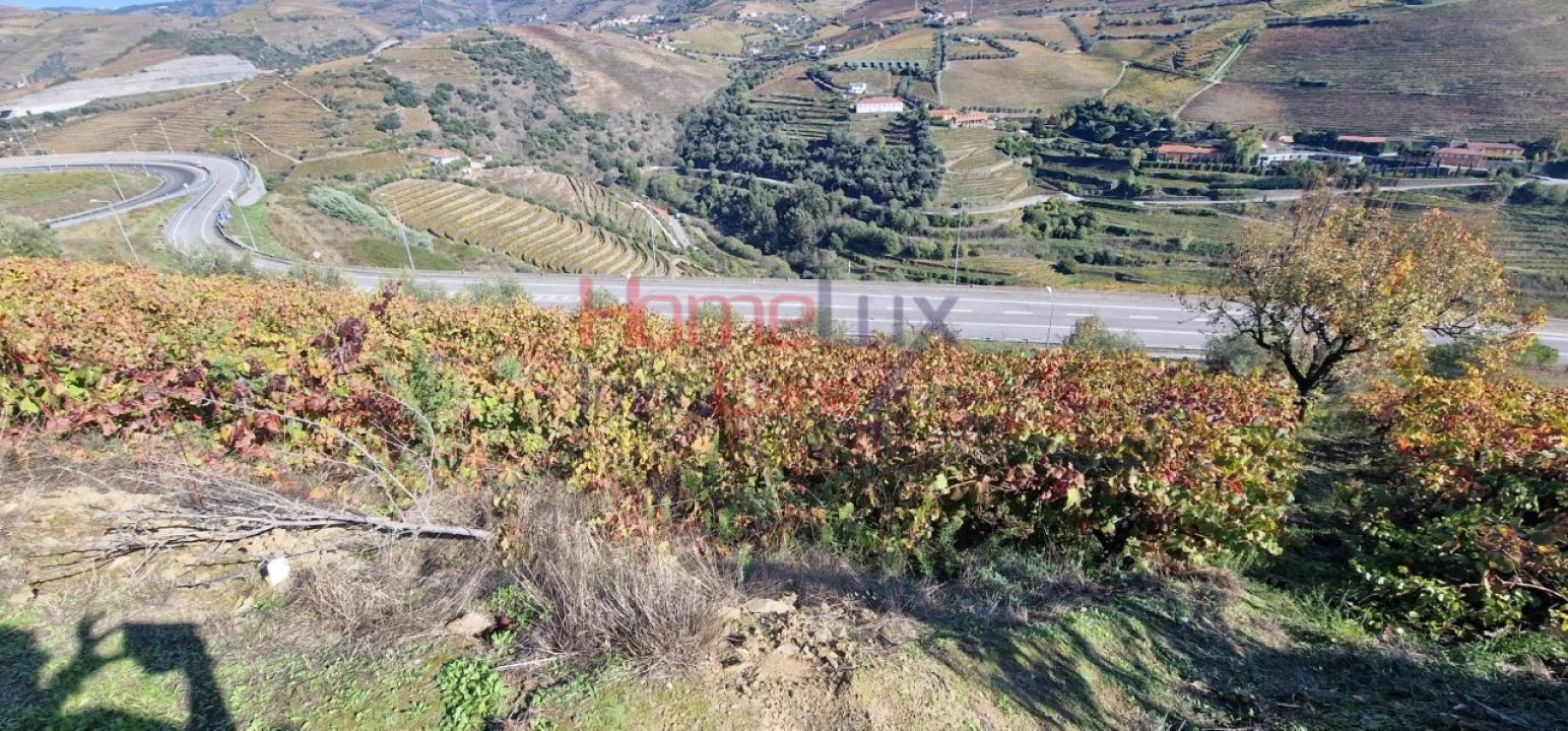 Quinta para Venda em Peso da Régua e Godim Foto 10