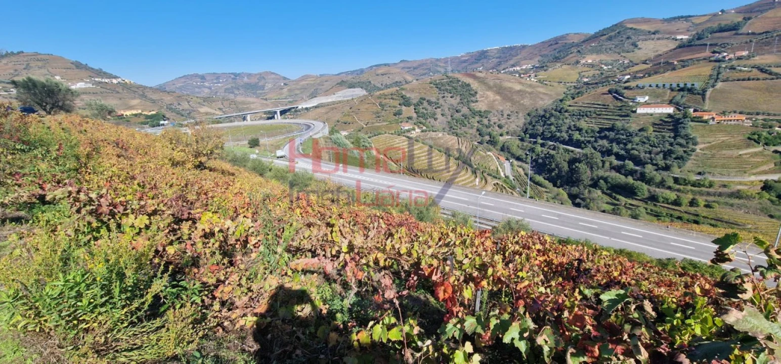 Quinta para Venda em Peso da Régua e Godim Foto 11