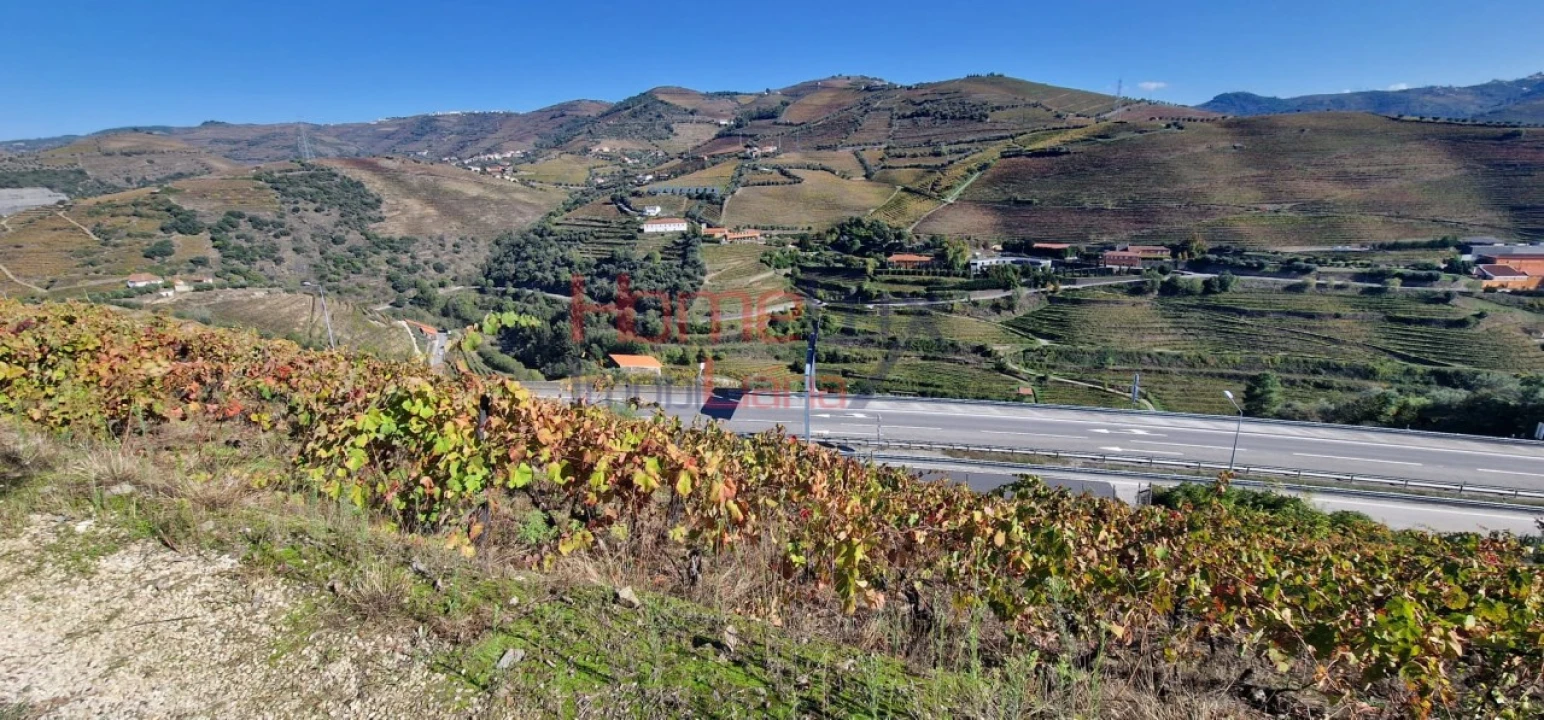 Quinta para Venda em Peso da Régua e Godim Foto 12