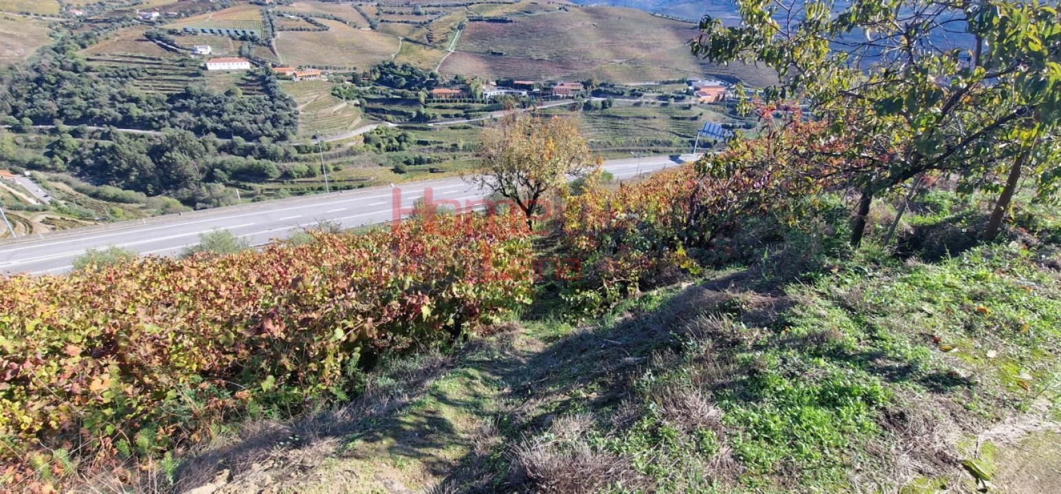 Quinta para Venda em Peso da Régua e Godim Foto 13