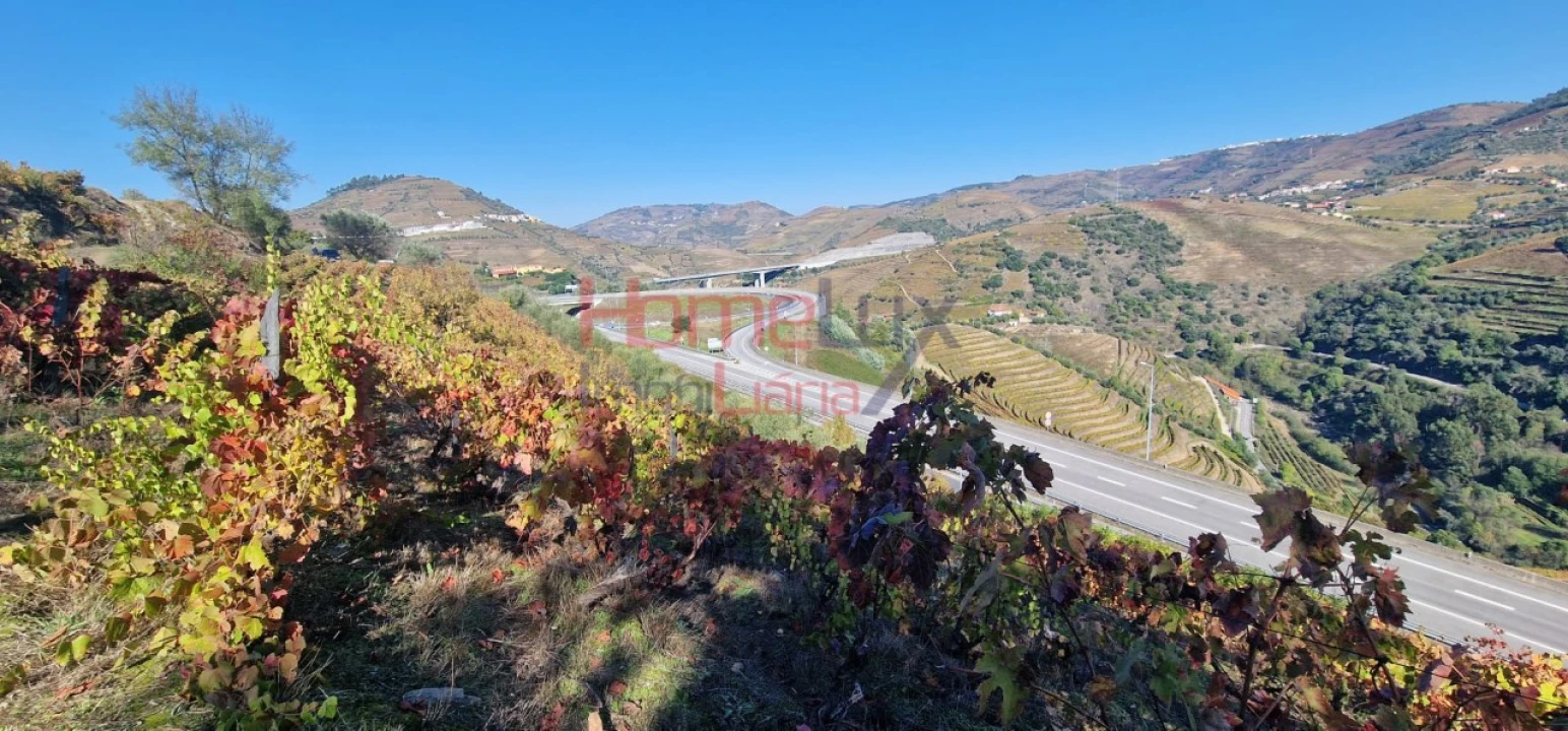 Quinta para Venda em Peso da Régua e Godim Foto 15