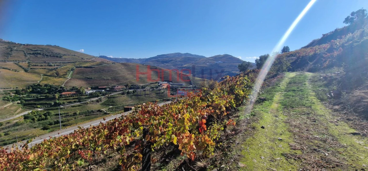 Quinta para Venda em Peso da Régua e Godim Foto 16