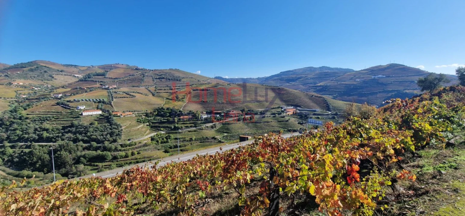 Quinta para Venda em Peso da Régua e Godim Foto 17