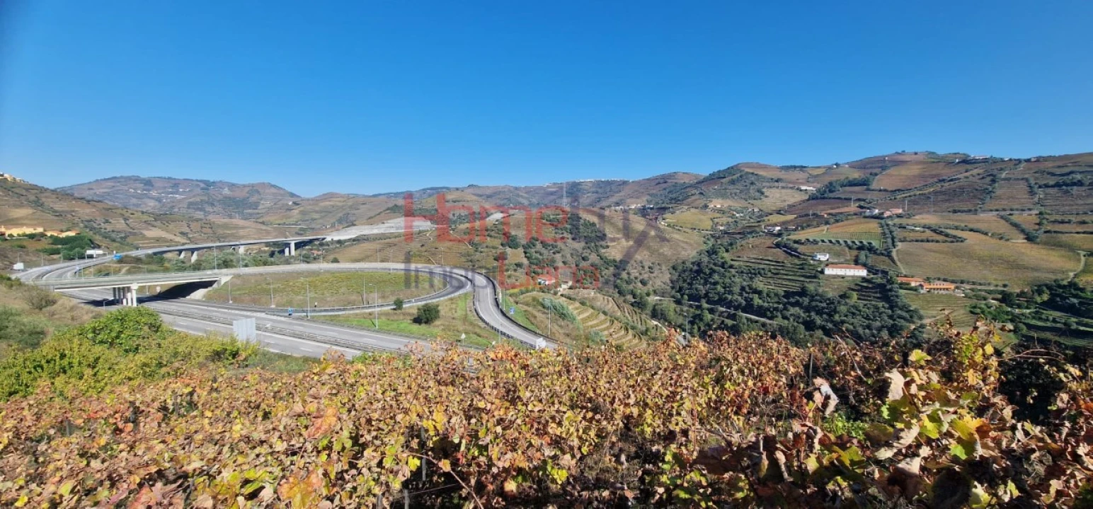 Quinta para Venda em Peso da Régua e Godim Foto 32