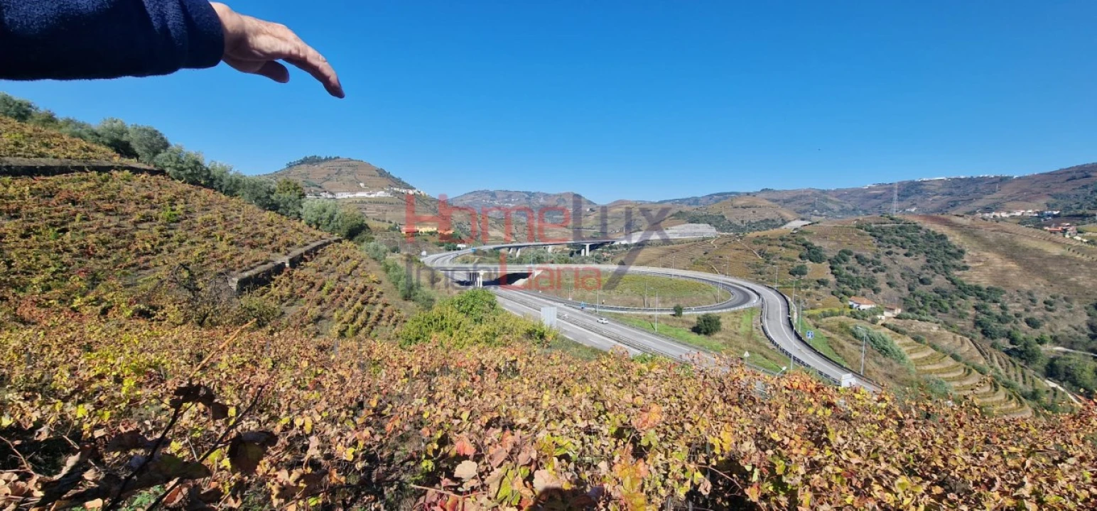 Quinta para Venda em Peso da Régua e Godim Foto 34