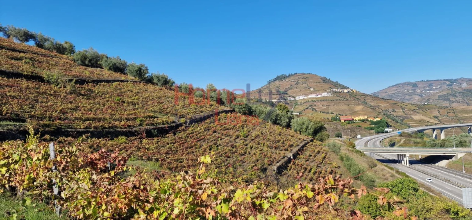 Quinta para Venda em Peso da Régua e Godim Foto 42