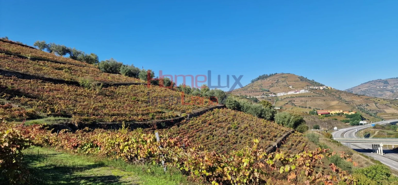 Quinta para Venda em Peso da Régua e Godim Foto 43