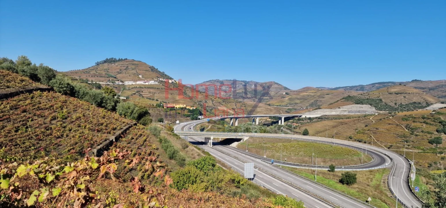 Quinta para Venda em Peso da Régua e Godim Foto 44