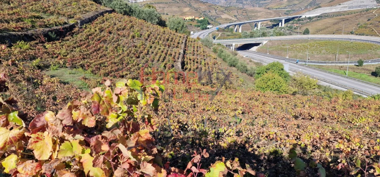 Quinta para Venda em Peso da Régua e Godim Foto 52