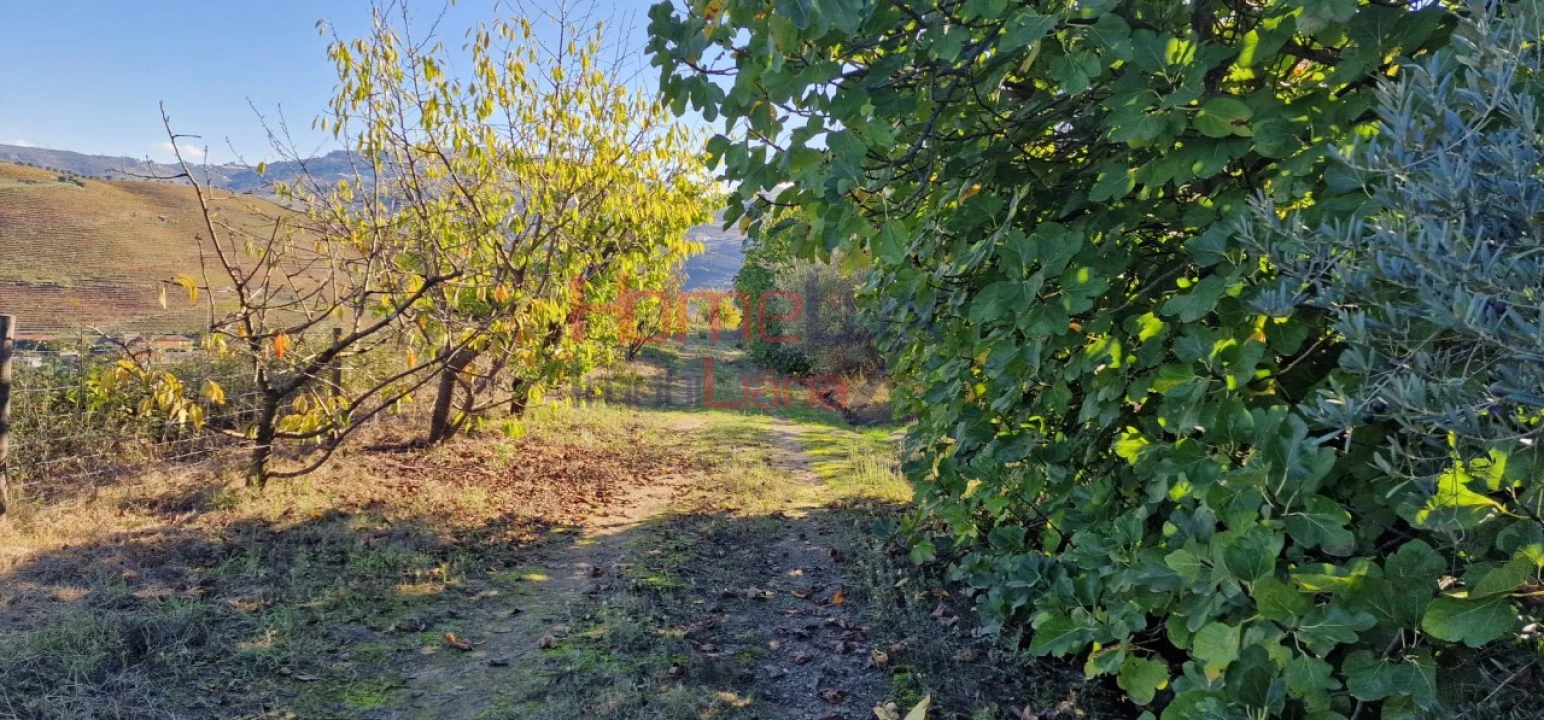 Quinta para Venda em Peso da Régua e Godim Foto 56