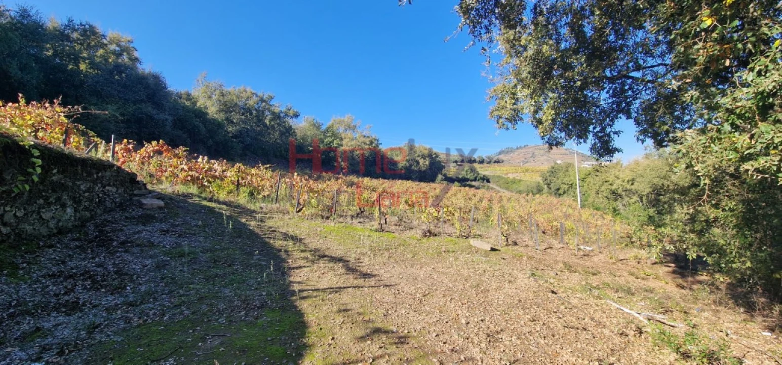 Quinta para Venda em Peso da Régua e Godim Foto 58