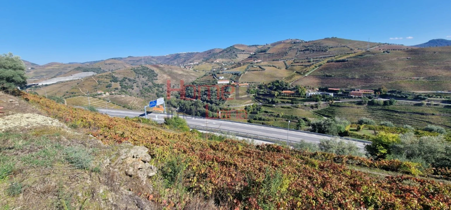 Quinta para Venda em Peso da Régua e Godim Foto 62