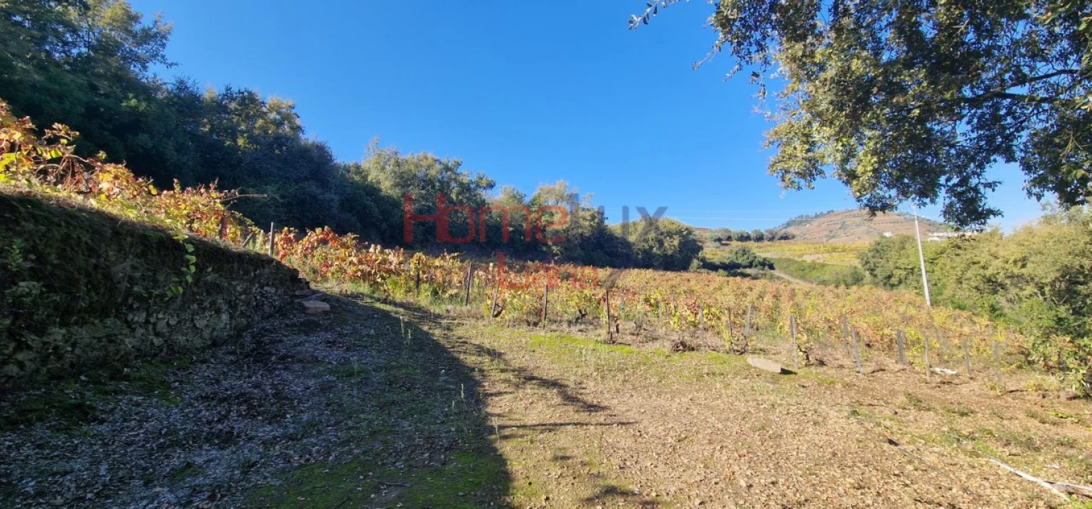 Quinta para Venda em Peso da Régua e Godim Foto 64