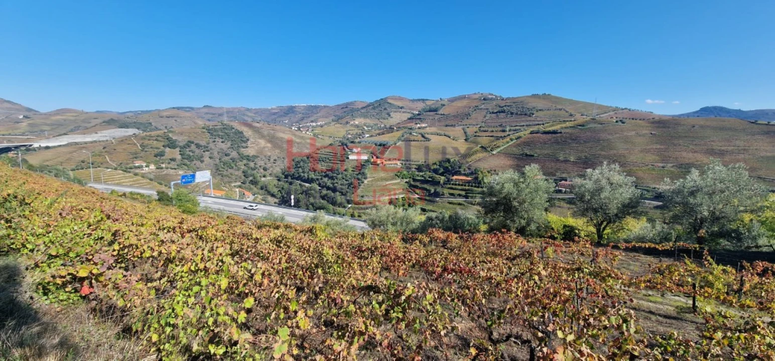 Quinta para Venda em Peso da Régua e Godim Foto 65