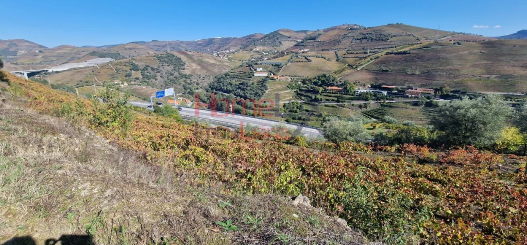 Quinta para Venda em Peso da Régua e Godim Foto 6